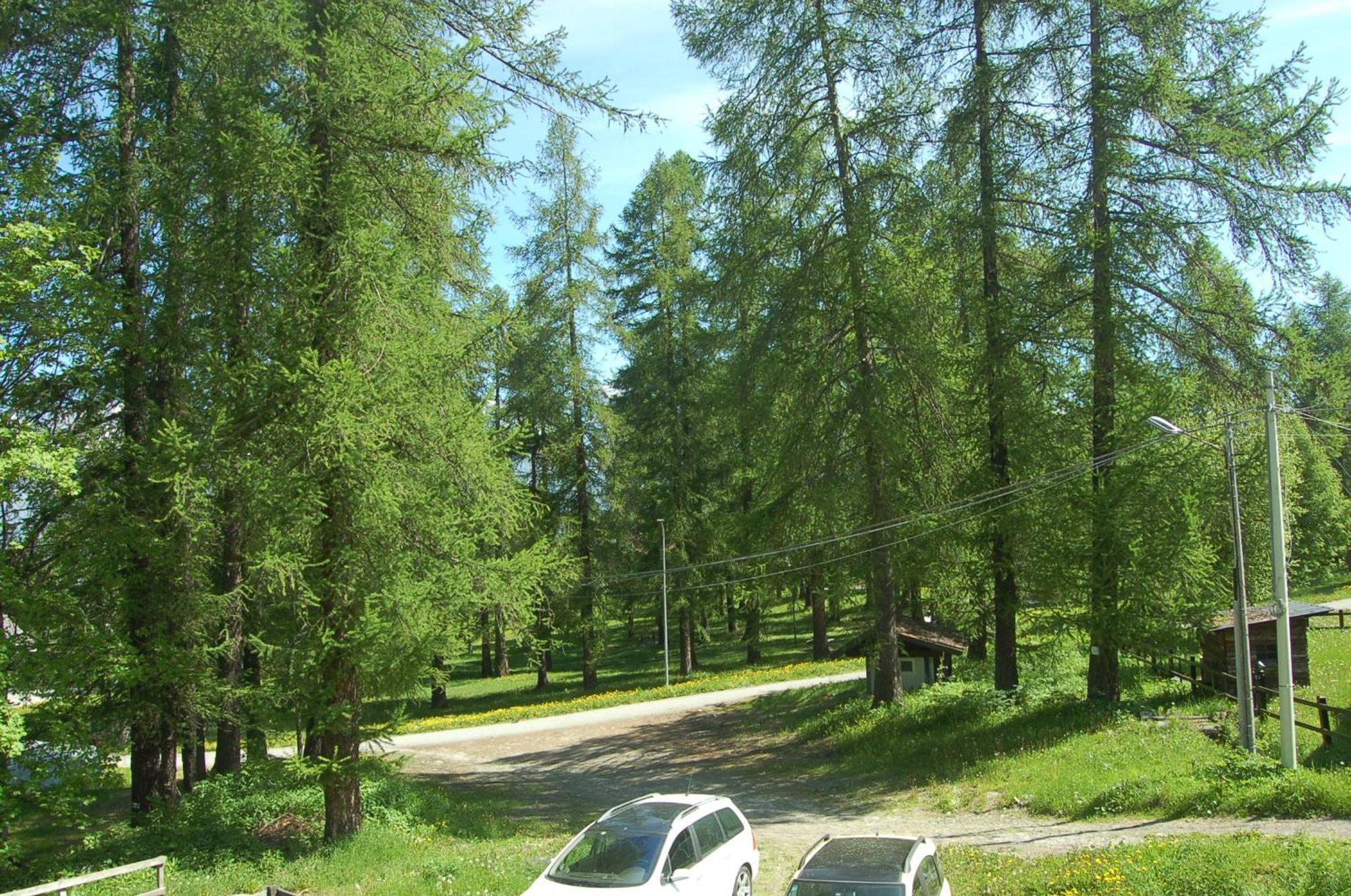 ChiomonteMontagna Che Passioneアパートメント エクステリア 写真