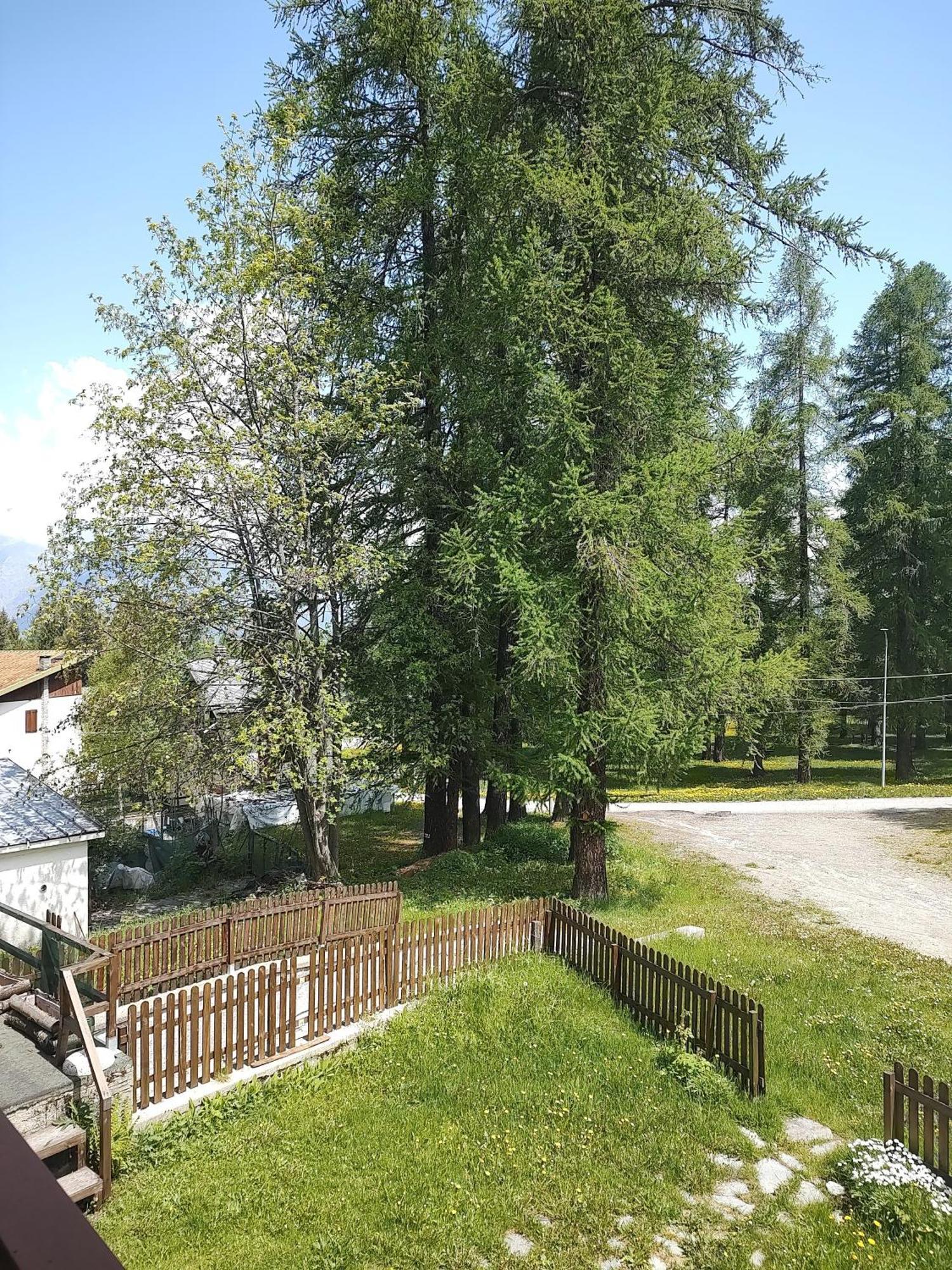 ChiomonteMontagna Che Passioneアパートメント エクステリア 写真